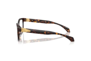 Side view Versace VE3376U (108)