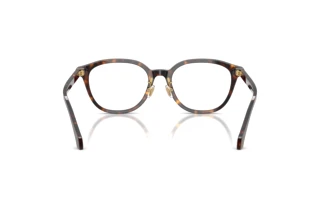 Rear view Versace VE3379D (108)