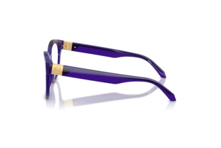 Side view Versace VE3384 (5545)