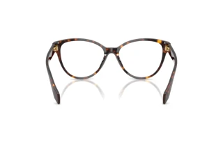 Rear view Versace VE3399U (108)