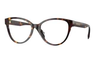 Front view Versace VE3399U (108)