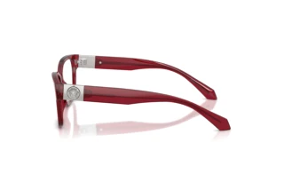 Side view Versace VE3401U (388)