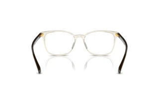 Rear view Vogue Eyewear VO5399D (2998)