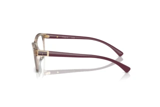 Side view Vogue Eyewear VO5424B (2990)