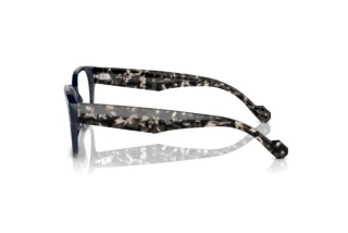 Side view Vogue Eyewear VO5529 (2319)