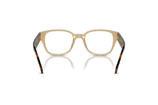 Rear view Vogue Eyewear VO5529 (W900)