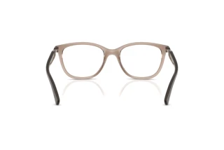 Rear view Vogue Eyewear VO5679B (2940)