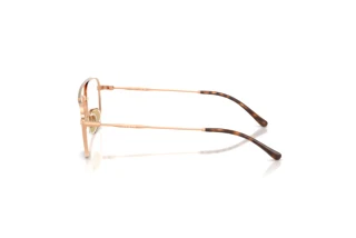 Side view Vogue Eyewear VY1001 (5152)