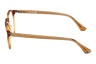 Side view Web Eyewear WE5387 (039)