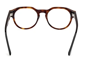 Rear view Web Eyewear WE5421 (055)