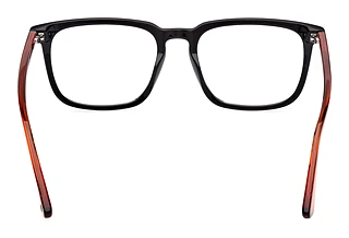 Rear view Web Eyewear WE5430 (002)