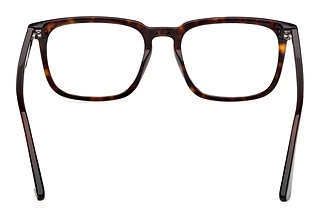 Rear view Web Eyewear WE5430 (052)