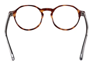 Rear view Web Eyewear WE5440 (056)