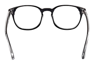 Rear view Web Eyewear WE5441 (001)