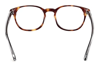 Rear view Web Eyewear WE5441 (056)