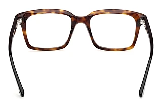 Rear view Web Eyewear WE5452 (055)