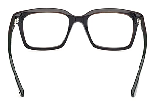 Rear view Web Eyewear WE5452 (098)