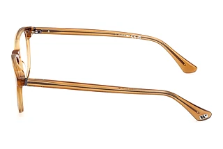 Side view Web Eyewear WE5455 (039)