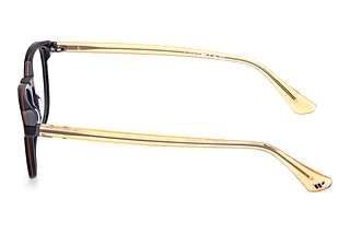 Side view Web Eyewear WE5455 (092)