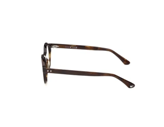 Side view Web Eyewear WE5472 (052)