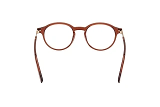 Rear view Zegna EZ5269 (048)