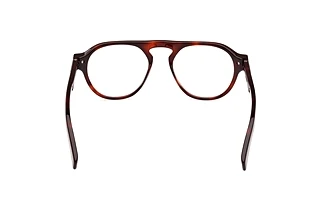 Rear view Zegna EZ5281 (054)