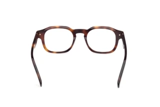 Rear view Zegna EZ5293 (052)