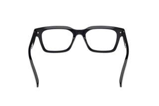 Rear view Zegna EZ5294 (001)