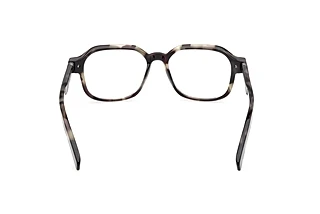 Rear view Zegna EZ5305 (055)