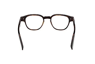 Rear view Zegna EZ5306 (005)