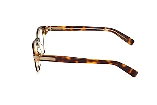 Side view Zegna EZ5306 (056)