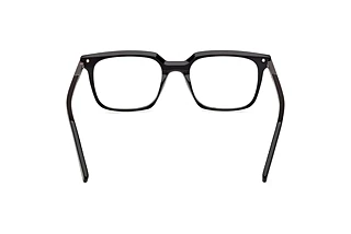 Rear view Zegna EZ5309 (001)