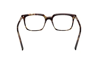 Rear view Zegna EZ5309 (052)