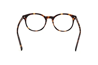 Rear view Zegna EZ5310 (055)