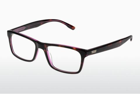 Glasses Levis LS119 04