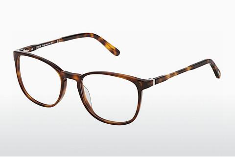 Glasses Lozza VL4202 0752