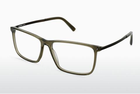Glasses Rodenstock R5348 D