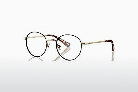 Glasses Superdry SDO Dakota 004