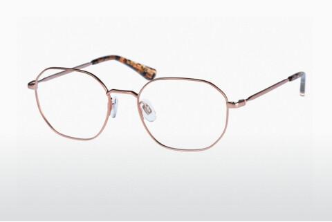 Glasses Superdry SDO Taiko 072