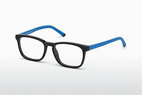 Glasses Web Eyewear WE5309 005