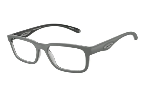 Glasses Arnette RAYSIN (AN7283 3009)