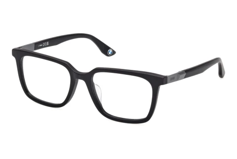 Glasses BMW BW5100-H 002