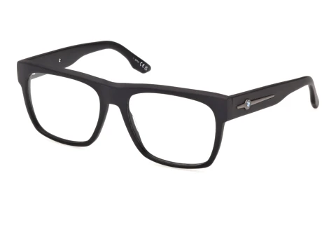 Glasses BMW BW5115 002