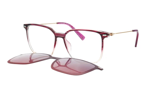 Glasses Bogner 66020 3500