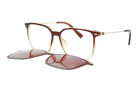 Glasses Bogner 66020 5100