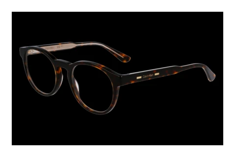 Glasses Calvin Klein CK24551MAG-SET N 206