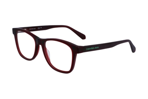 Glasses Calvin Klein CKJ23643MAG-SET N 601
