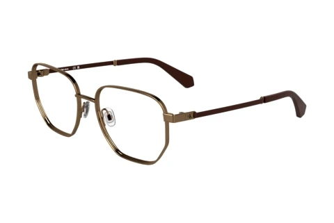 Glasses Calvin Klein CKJ25203 704