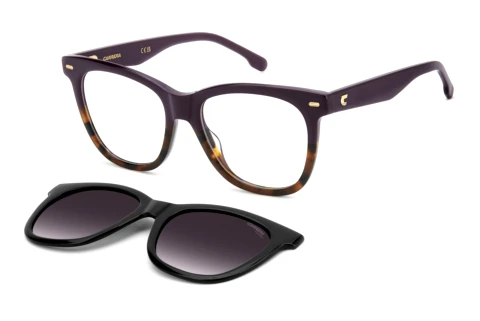 Glasses Carrera CA 3098/C HKZ