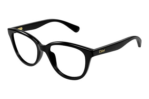 Glasses Chloé CC0021O 001
